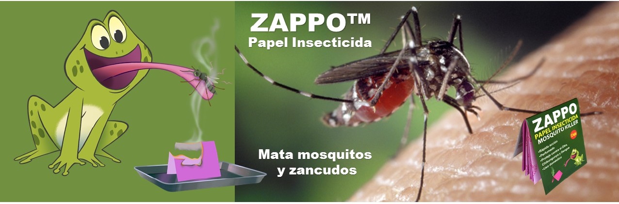 BANNER ZAPPO