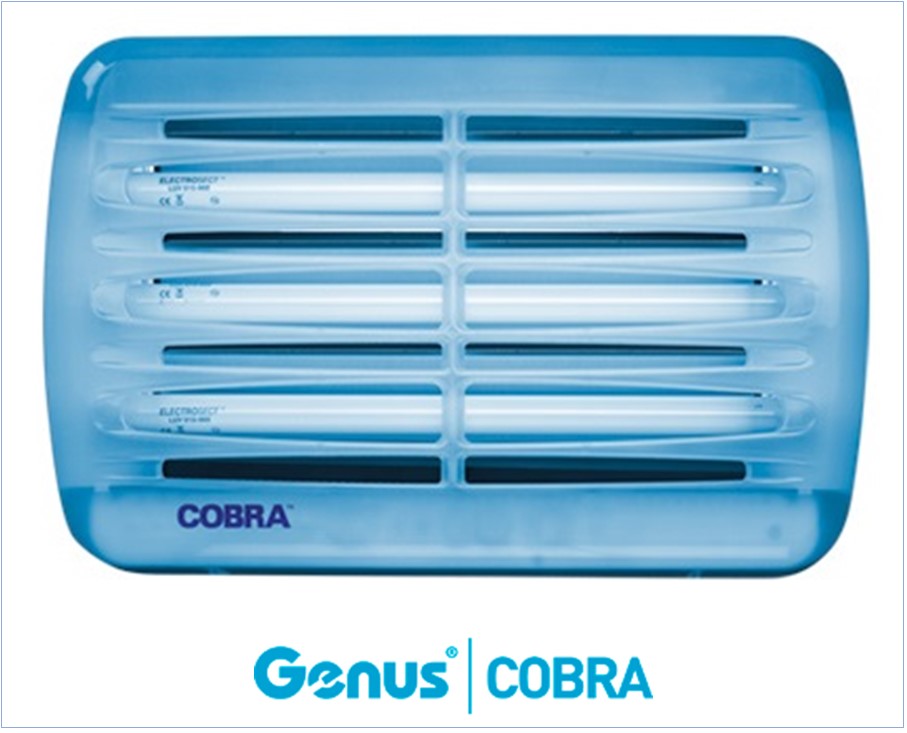 GENUS COBRA