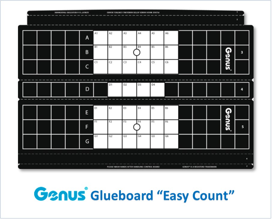 GLUEBOARD