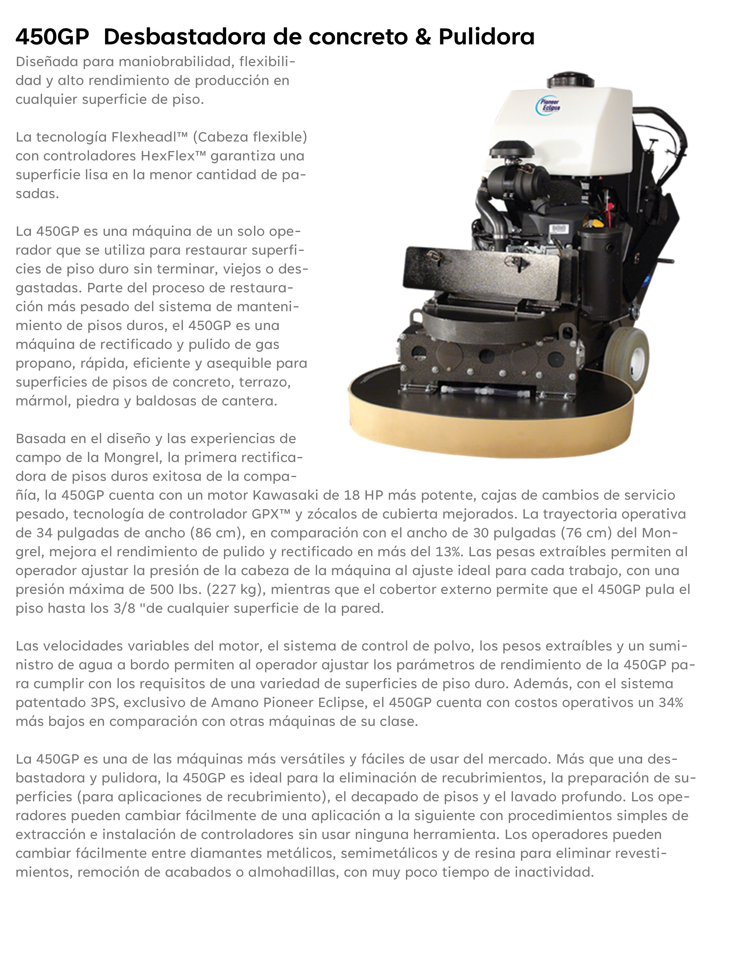 450gp pagina web publicacion