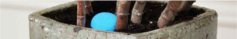 BANNER WROX
