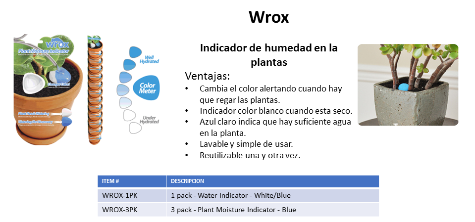 Diapositiva10