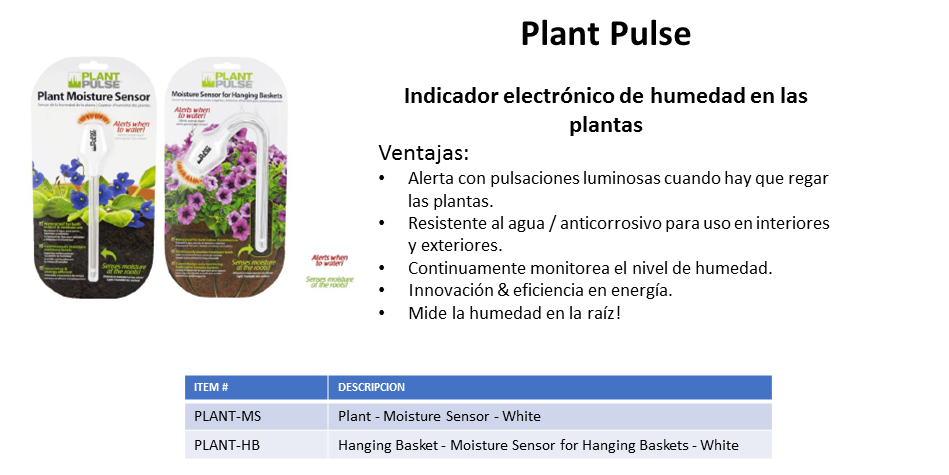 Diapositiva11