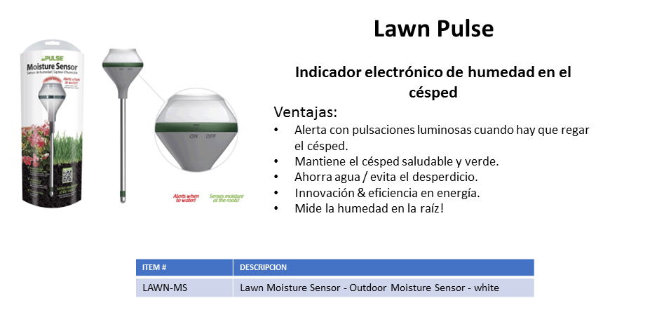 Diapositiva12