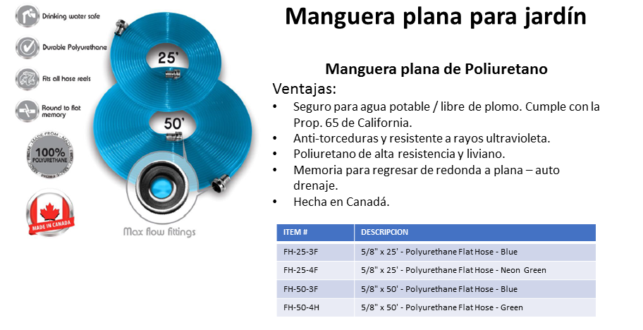 Diapositiva4
